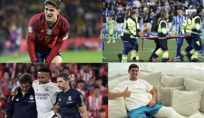 括马匹基础 括马匹基础